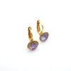 IMG_20210106_132420 Swarovski crystal earrings
