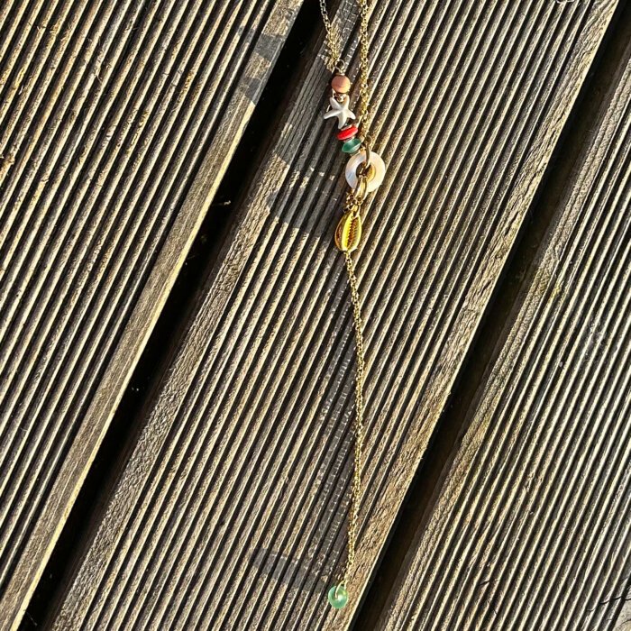 IMG_8470