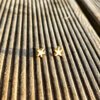 white earrings white Starfish stud earrings