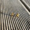 gold plated earrings Starfish stud earrings