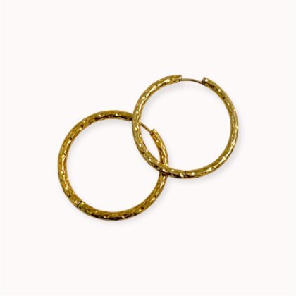 Auksu dengti auskarai rinkės