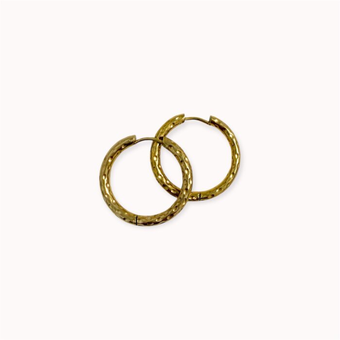 Auksu dengti auskarai rinkės