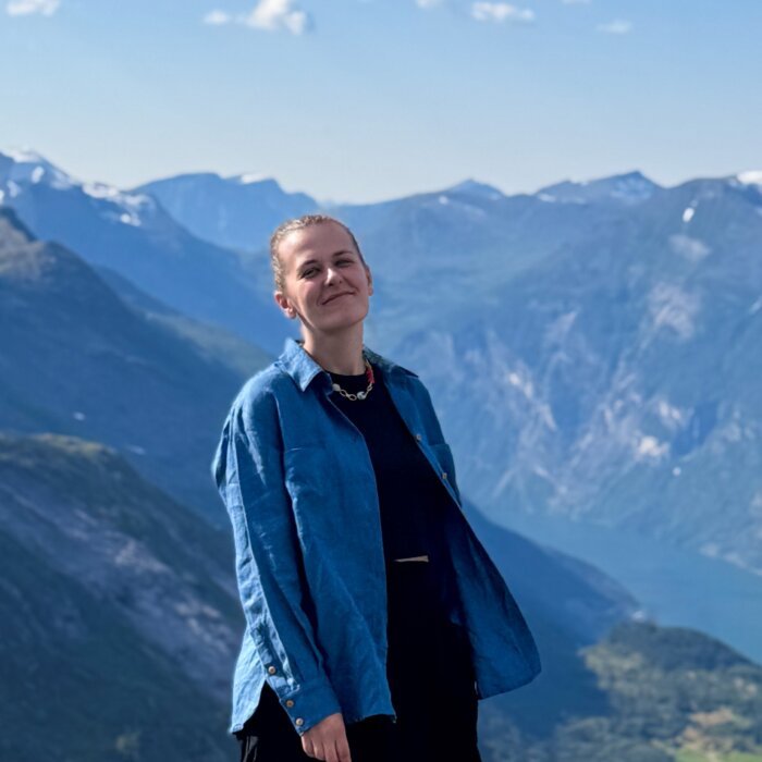 Naturaliu-akmenu-verinys Vėrinys su koralu, jaspiu, agatu ir avantiūrinu