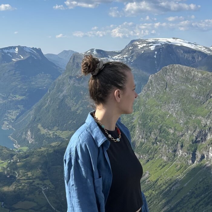 Naturaliu-akmenu-verinys Vėrinys su koralu, jaspiu, agatu ir avantiūrinu